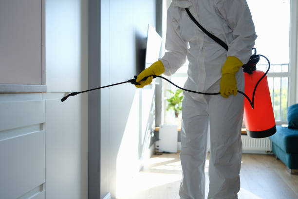 Best Mold Testing  in Rice Lake, WI