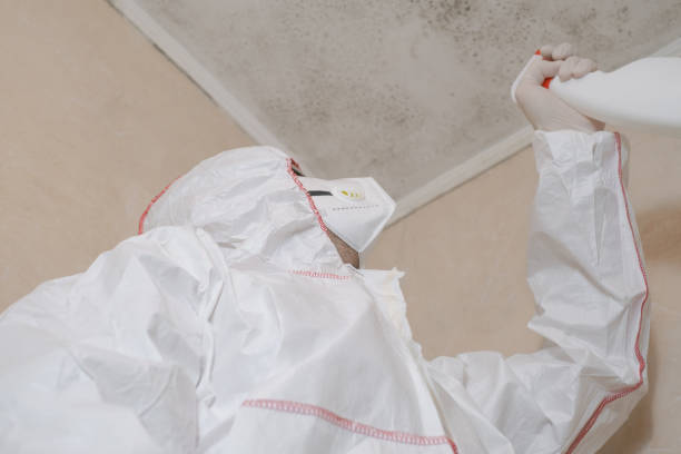 Crawl Space Mold Removal in Rice Lake, WI